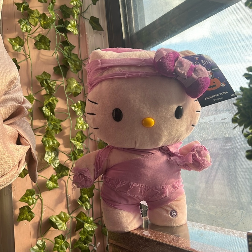 Hello kitty mummy stepper! New 2024